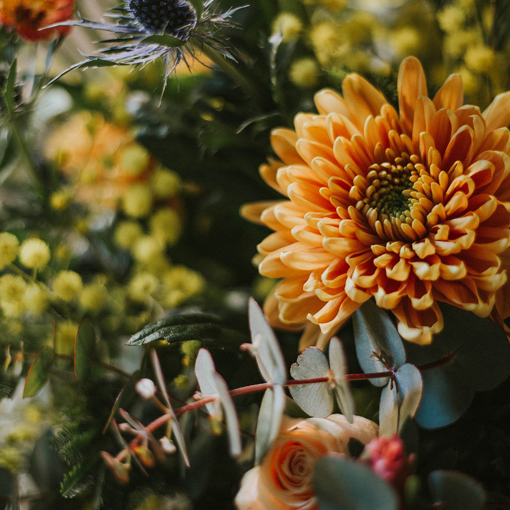 dhalias en ramo de flores