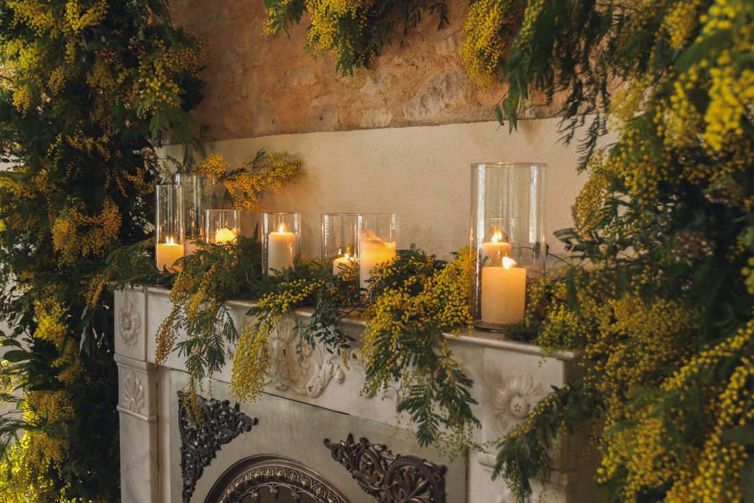 La Flor de Mimosa: Un Tesoro Dorado para la Decoración Floral